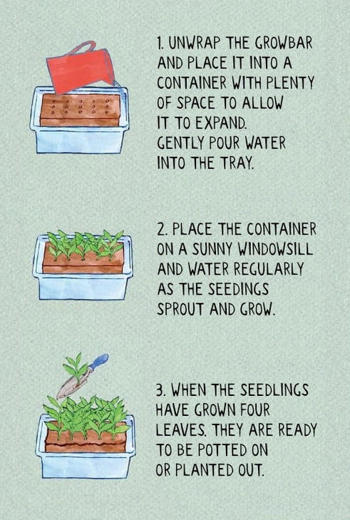 Georgian Growbar