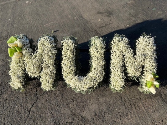 Mum Tribute 2