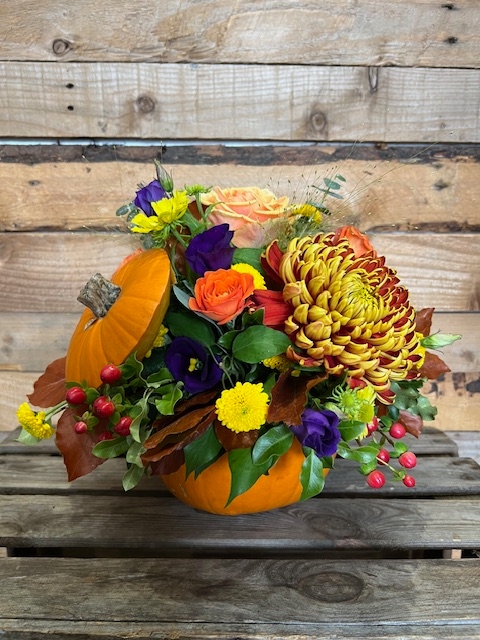 Pumpkin Arrangement