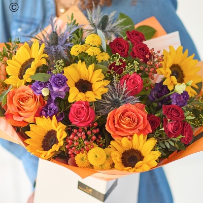 The Sunflower Carnival